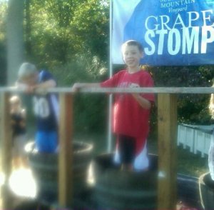 Matthewv2 Grape Stomp Champions